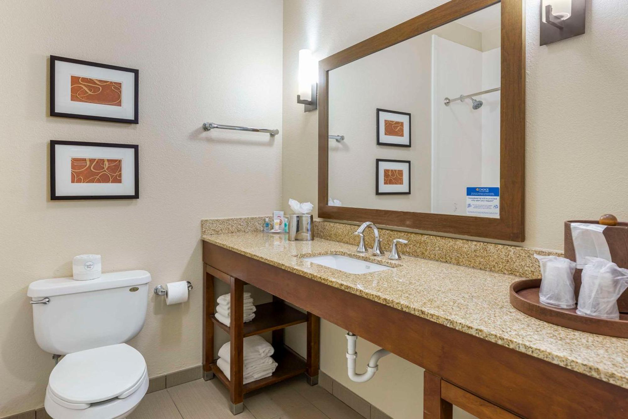 Comfort Inn Memphis Downtown Kültér fotó